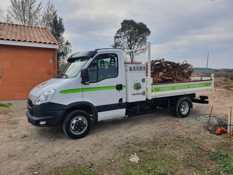 un élagueur professionnel pour l'élagage d'arbres dangereux avec camion  nacelle ou grimpeur pian médoc - Services d'élagage d'arbres pour  particulier & professionnels sur Bordeaux - W&G Élagage & Abattage