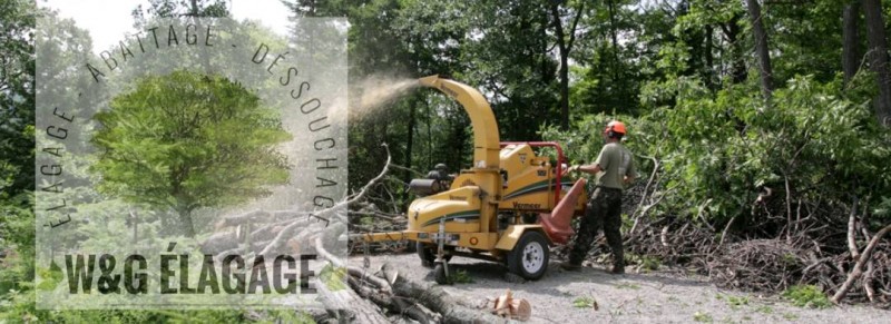 Entreprise avec des d'élagueur professionnel pour l'abattage d'arbres à Parempuyre 