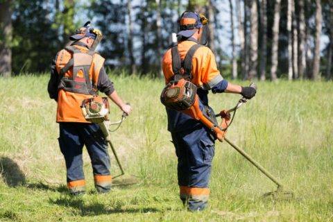 Débroussaillage de terrain à Bordeaux