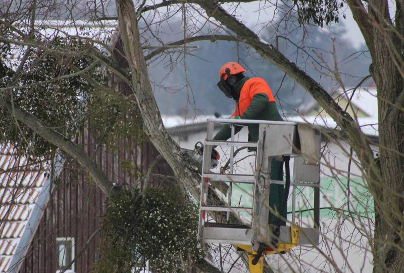 Elagueur professionnel pour des travaux d'élagage avec Nacelle pour la taille et l'abattage des arbres a Parempuyre