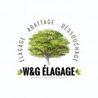 élagage d'arbre bordeaux